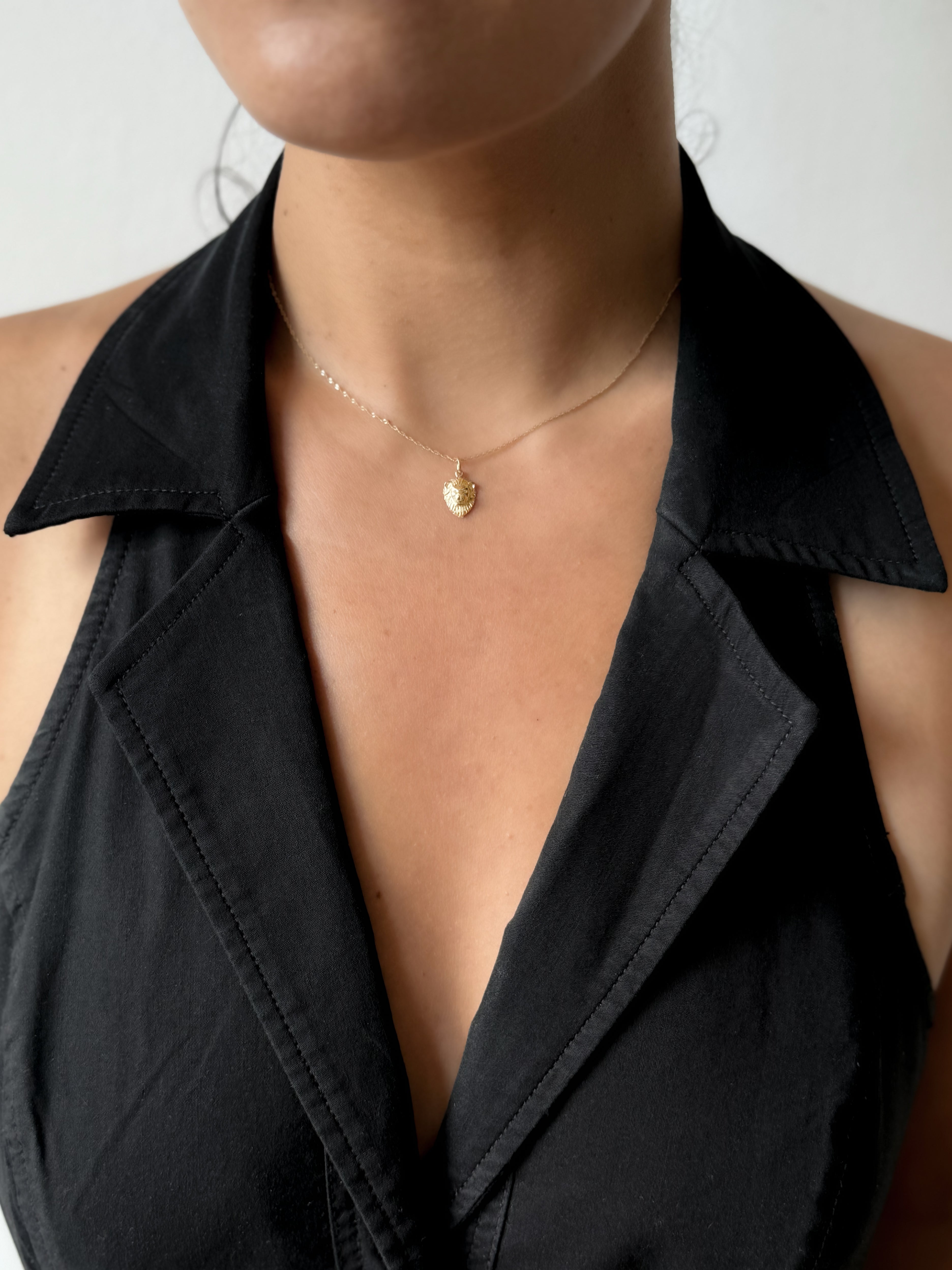 DIAMOND DELUXE LION - 14K GOLD – Collette Ishiyama Jewelry