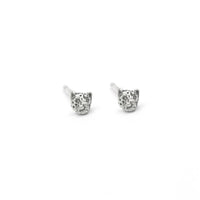 LITTLE LEOPARD STUDS - SILVER